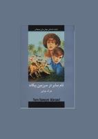 تام ساير در سرزمين بيگانه